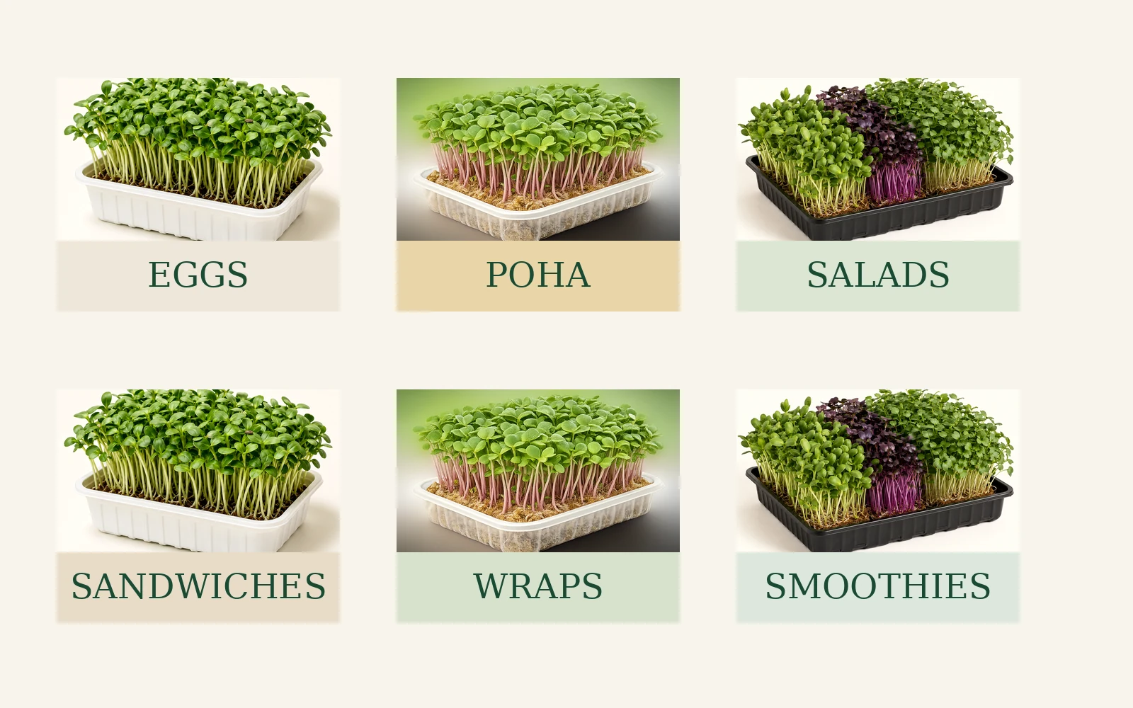 Examples of everyday meals that can be finished with microgreens